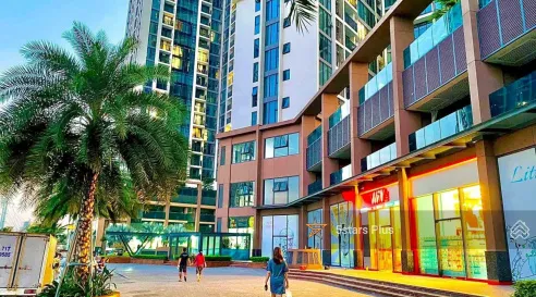 Thực trạng và những lầm tưởng phổ biến