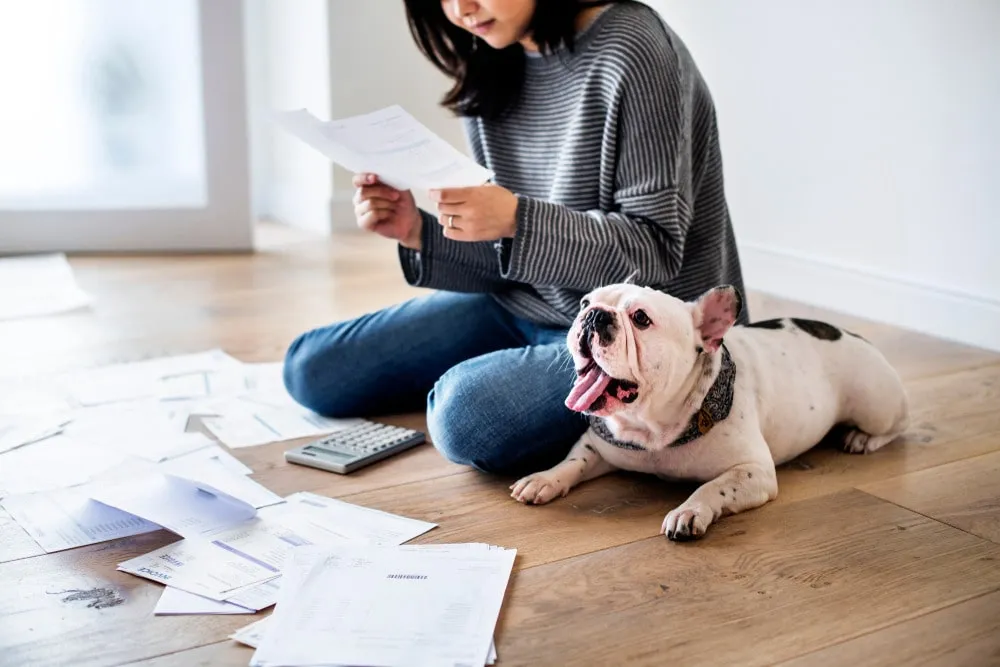 Đặc điểm nổi bật của chung cư thân thiện với thú cưng